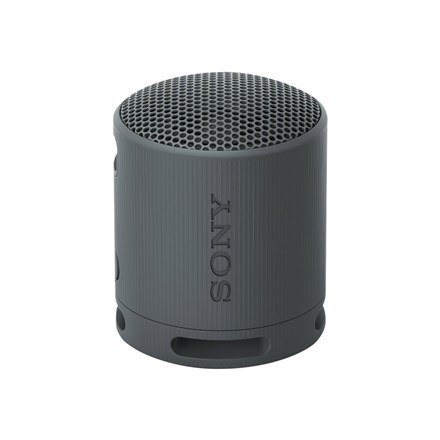 Sony SRS-XB100 Głośnik mono przenośny Czarny