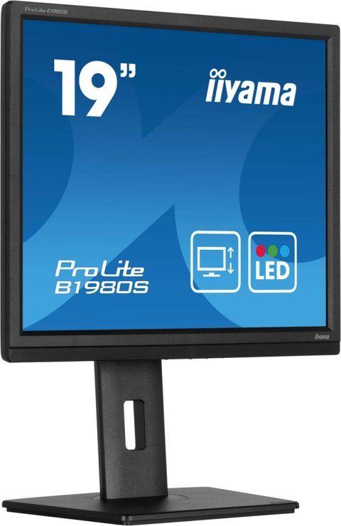Monitor iiyama B1980S-B1 19 cali panel TN 1280x1024 250cd/m2 HDMI DP