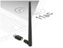 DeLOCK 12535 karta sieciowa RF Wireless