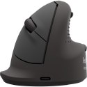 Fellowes 100143581 myszka Uniwersalne Po prawej stronie Bluetooth + USB Type-C Optyczny 2400 DPI