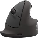 Fellowes 100143581 myszka Uniwersalne Po prawej stronie Bluetooth + USB Type-C Optyczny 2400 DPI