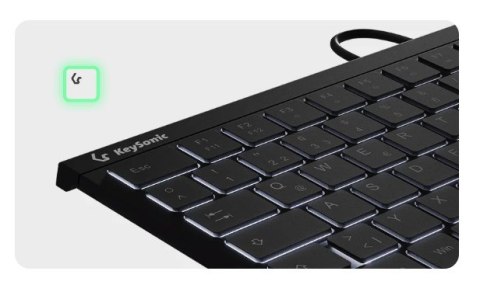 KeySonic KSK-5211ELU (DE) klawiatura Dom USB QWERTZ Niemiecki Czarny