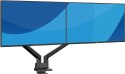 Iiyama DS4002C-B1 uchwyt / stojak do monitorów 81,3 cm (32") Biurko Czarny