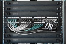 Digitus Moduł Keystone CAT 6A, ekranowany z inteligentnym menedżerem kabli - 48 szt.