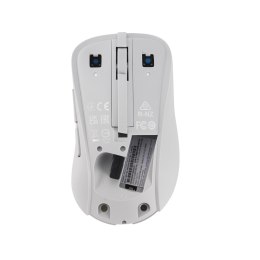 ASUS Wireless Mouse MD102 myszka Uniwersalne Po prawej stronie RF Wireless + Bluetooth Optyczny 1600 DPI