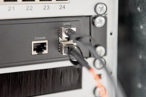 Digitus Kabel SFP + 10G 7m DAC