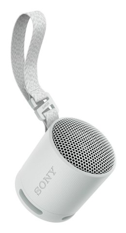 Sony SRS-XB100 Głośnik mono przenośny Szary