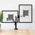 LogiLink Podwójny uchwyt na monitor 13-26 cali, aluminiowy