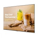 Hisense Monitor 75DP30FE 75 cali 4K UHD ADS Digital Signage Display 16/7