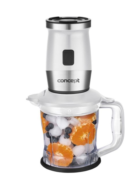 Blender smoothie SM3391 CONCEPT