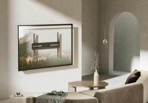 Gembird Uchwyt ścienny do telewizora (bez regulacji), 43-100 cali czarny