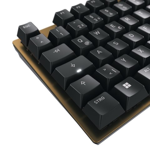 CHERRY KC 200 MX klawiatura Uniwersalne USB QWERTZ Niemiecki Czarny, Brąz