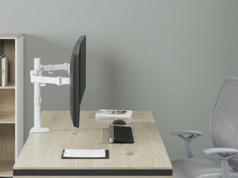 Equip 650167 uchwyt / stojak do monitorów 81,3 cm (32") Biurko Biały