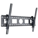 Techly ICA-PLB 622 2,54 m (100") Czarny