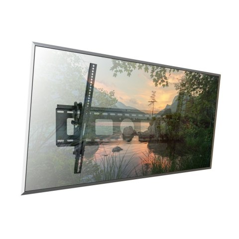 Techly ICA-PLB 622 2,54 m (100") Czarny