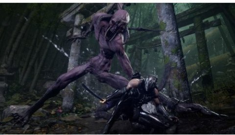 Gra ESD NINJA GAIDEN 4: Standard Edition XXL MS