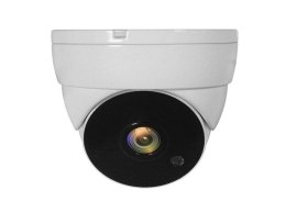 LevelOne ACS-5302 kamera przemysłowa Kopułowa Kamera bezpieczeństwa CCTV Wewnętrzna / zewnętrzna Sufit