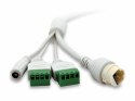 Wyjście kopułkowe LevelOne IPCam 2MP/H.265/IR/7W/PoE/IP67