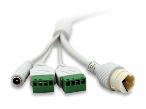 Wyjście kopułkowe LevelOne IPCam 2MP/H.265/IR/7W/PoE/IP67