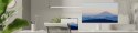 Monitor JAPANNEXT 68,5 cm JN-IPS270UHD60F-C65W-HSP-W HDMI/DP UHD