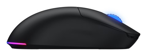 HATOR Quasar 3 Wireless myszka Gaming Oburęczny RF Wireless + Bluetooth + USB Type-A Optyczny 12000 DPI