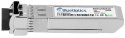 BlueOptics DEM-431XT-BO moduł przekaźników sieciowych Swiatłowód 10000 Mbit/s SFP+ 850 nm