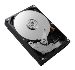 DELL 161-BBRX dysk twardy 8 TB 7200 RPM 3.5