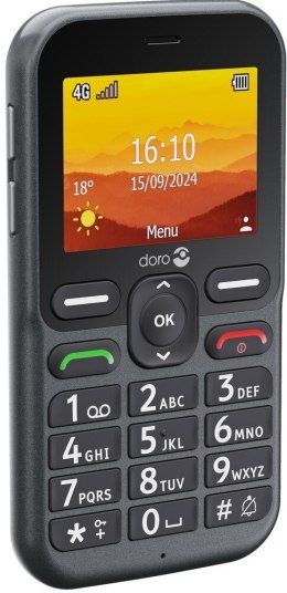 Doro Leva L10 6,1 cm (2.4