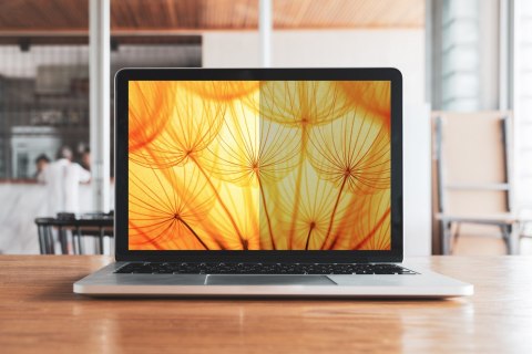 Filtr prywatności Bright Screen firmy 3M