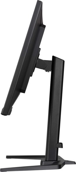 MONITOR IIYAMA LED 31,5