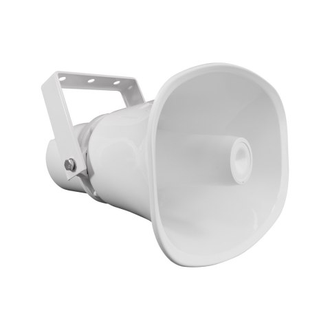 BCS BCS-P-LSIPO30 2-drożny Biały Przewodowa 30 W
