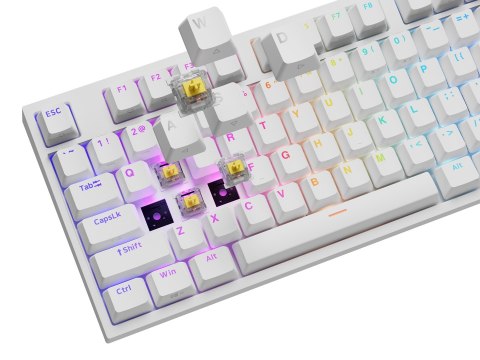 Klawiatura GENESIS THOR 404 uniwersalne USB QWERTY Angielski Biały