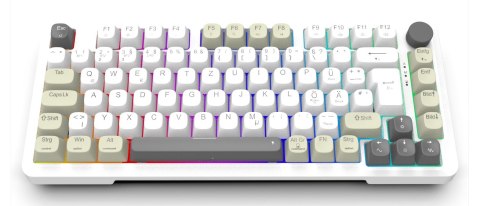 Klawiatura gamingowa Inca IKG-455 Gaming USB + RF Wireless + Bluetooth QWERTY Niemiecki Biały