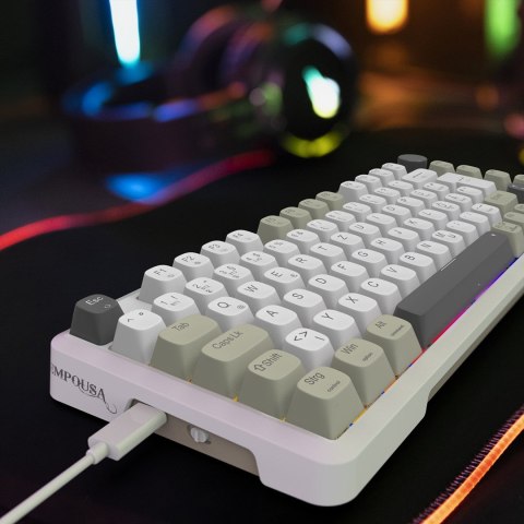 Klawiatura gamingowa Inca IKG-455 Gaming USB + RF Wireless + Bluetooth QWERTY Niemiecki Biały