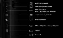 TCL Telewizor 55 cali LED 55P6L