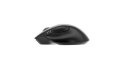 Mysz Gembird MUSW2-6B-02