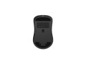 Mysz Gembird MUSW2-7B-01