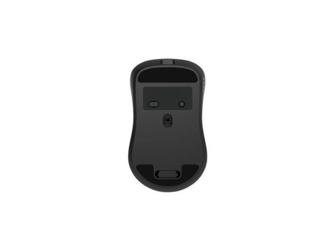 Mysz Gembird MUSW2-7B-01