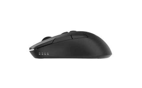 Mysz Gembird MUSW2-7B-01