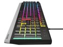 Klawiatura GENESIS NKG-1817 Gaming USB QWERTY Portugalski