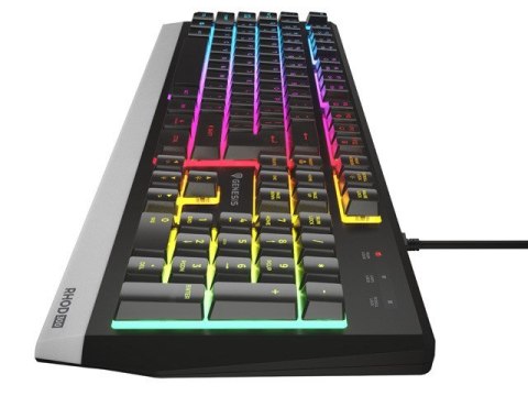 Klawiatura GENESIS NKG-1817 Gaming USB QWERTY Portugalski