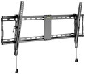 Wentronic Pro TILT (XL) 2,54 m (100") Czarny