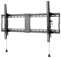 Wentronic Pro TILT (XL) 2,54 m (100") Czarny