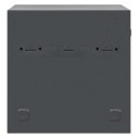 MANHATTAN SZAFA DO ŁADOWANIA 10 LAPTOPÓW 16" 10 GN