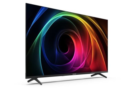 Telewizor Ostry 40HA1205E, Rozdział 40, Rozdzielczość FHD, Czarny
