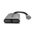 ALOGIC UL2CAPW-SGR huby i koncentratory USB 3.2 Gen 1 (3.1 Gen 1) Type-C Szary