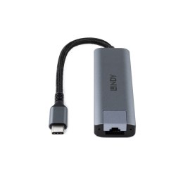 Lindy 43422 huby i koncentratory USB 3.2 Gen 2 (3.1 Gen 2) Type-C 10000 Mbit/s Szary