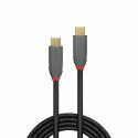 Lindy 36903 kabel USB USB 3.2 Gen 2 (3.1 Gen 2) 2 m USB C 20 Gbit/s 100 W Czarny