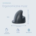 R-Go Tools Mysz pionowa R-Go HE Basic, mysz ergonomiczna, rozmiar medium (długość dłoni 165-185 mm), dla leworęcznych, Bluetooth