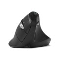 Port Designs 910204 myszka Uniwersalne Dla praworęcznych RF Wireless + Bluetooth Optyczny 4800 DPI